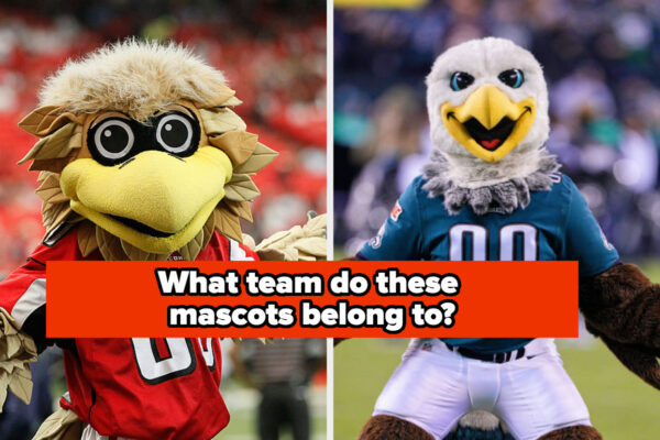 let’s-see-if-you’ll-score-a-touchdown-with-this-nfl-mascot-trivia-quiz