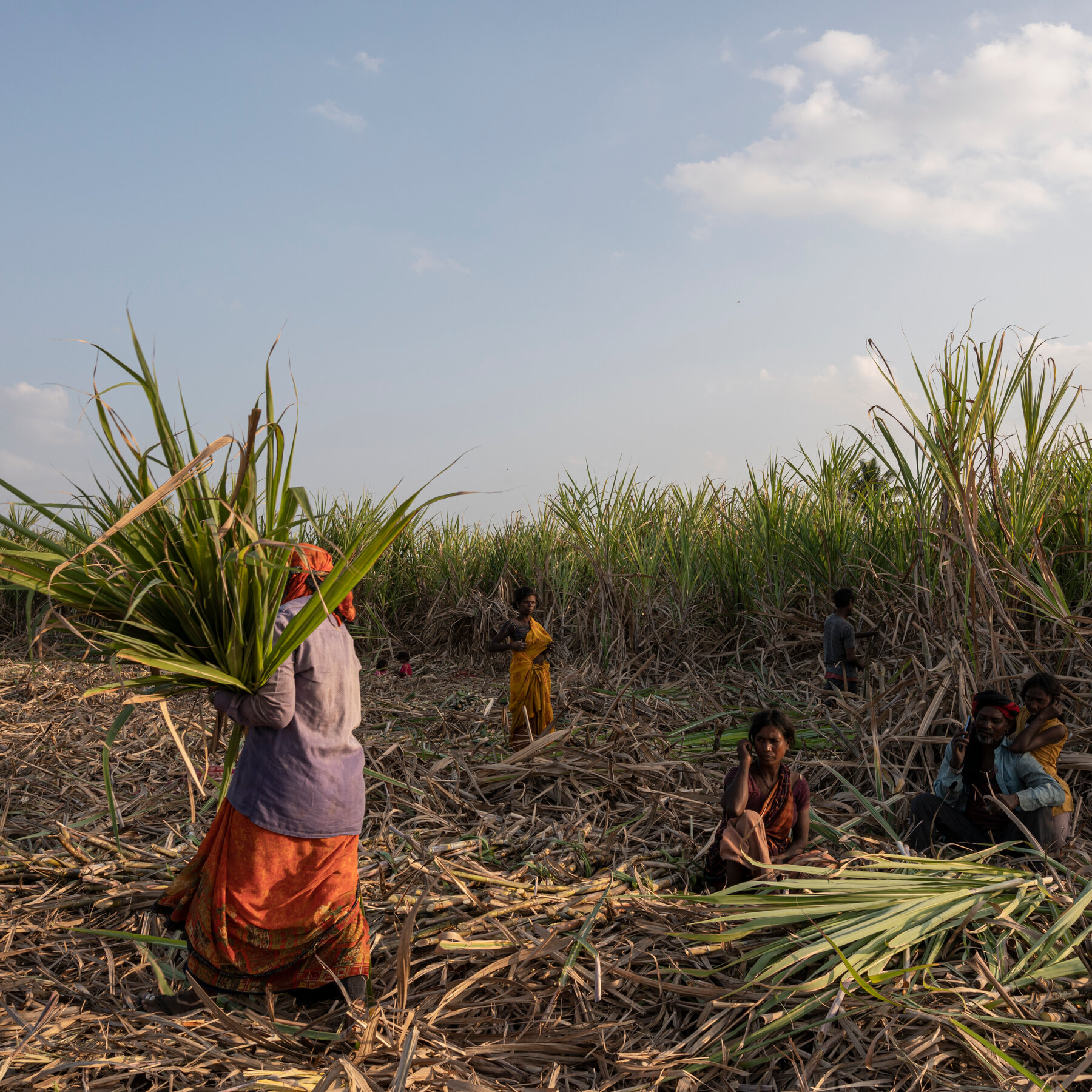 how-the-times-investigated-indian-political-ties-to-labor-abuse-in-the-sugar-industry