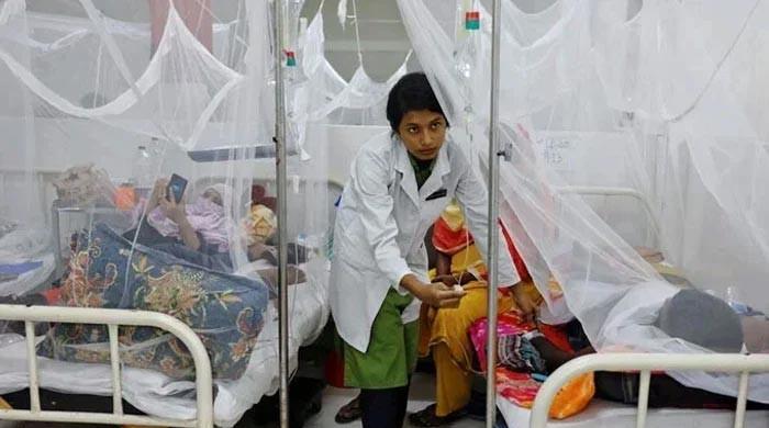 dengue-outbreak-may-hit-10-major-cities-by-october,-warns-pmd