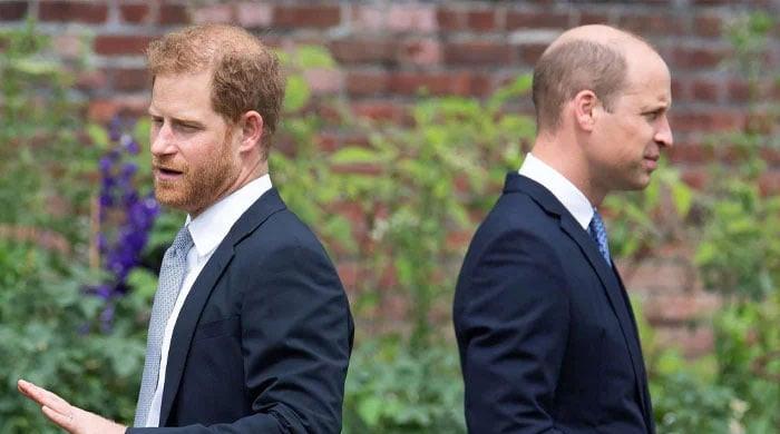 prince-william-told-harry-royal-life-is-not-ae˜free-ride’-in-subtle-dig