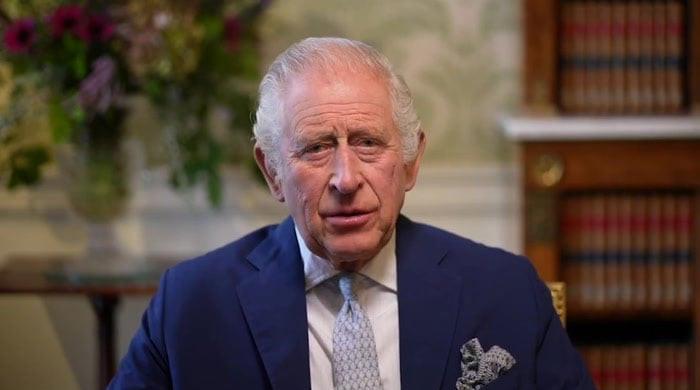 king-charles-ae˜silly’-monarchy-is-worth-it,-expert-shares-why