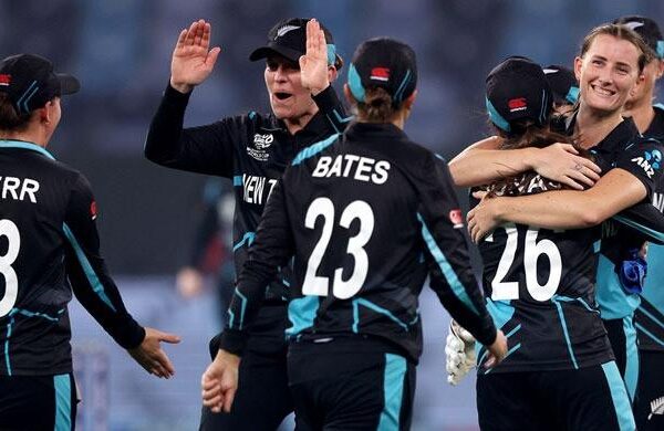 women’s-t20-world-cup:-new-zealand-lift-first-title-as-they-defeat-south-africa-by-32-runs