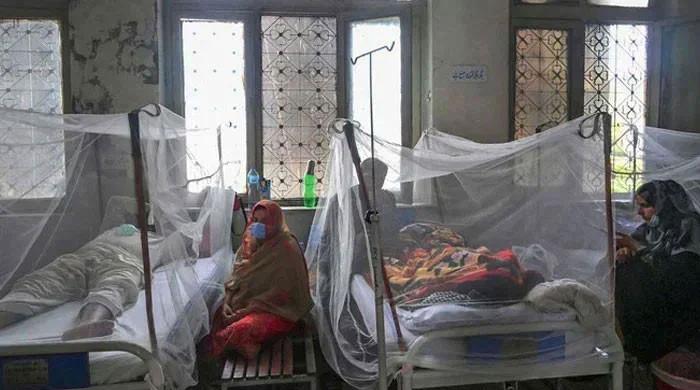dengue-outbreak-likely-to-decline-by-next-month:-pmd
