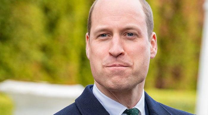 prince-william-should-not-be-ae˜attacked’-for-good-deeds,-says-expert