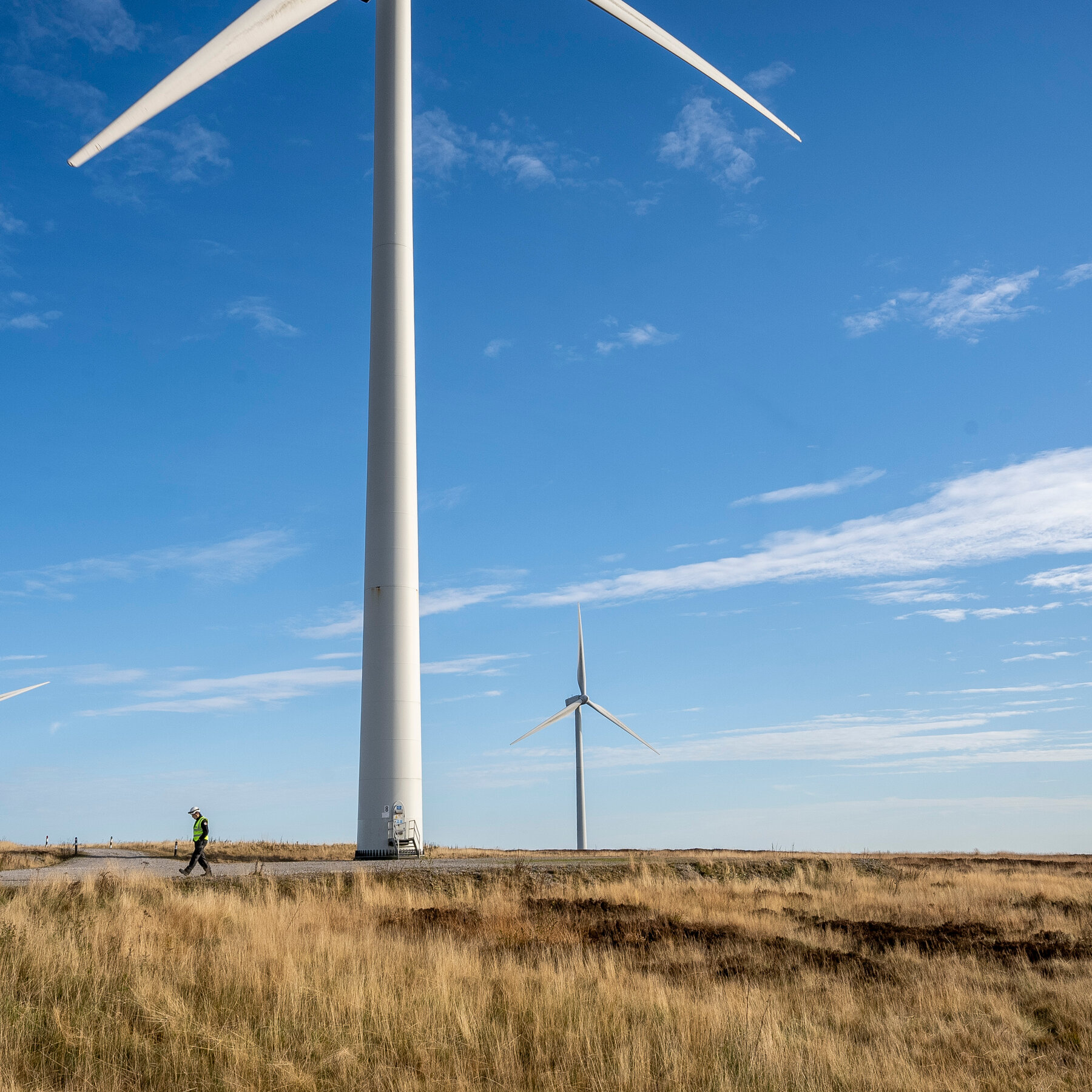 utility-in-britain-offers-free-electricity-to-grow-clean-energy