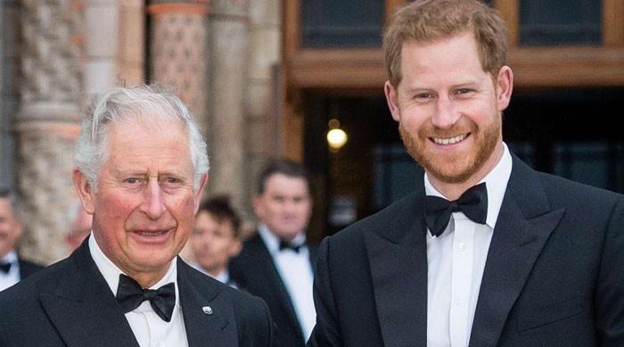 king-charles-receives-crucial-plea-about-prince-harry-amid-cancer