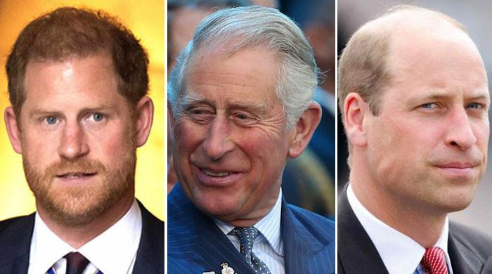 prince-william-warned-about-prince-harry’s-relationship-with-king-charles