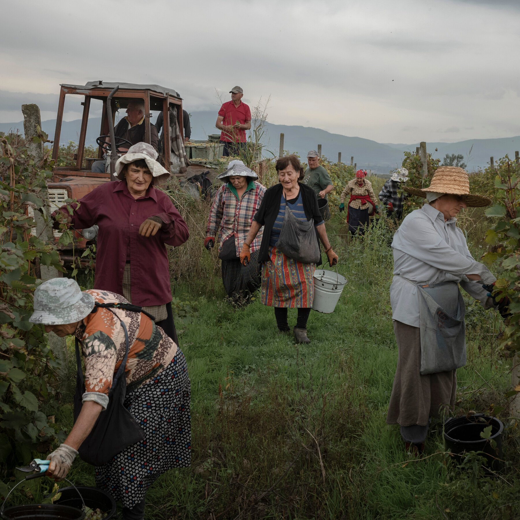 long-tied-to-russia,-georgia’s-winemakers-look-to-the-west