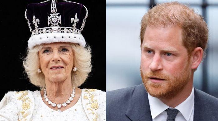 how-prince-harry-turned-ae˜hated-outcast’-in-queen-camilla-row