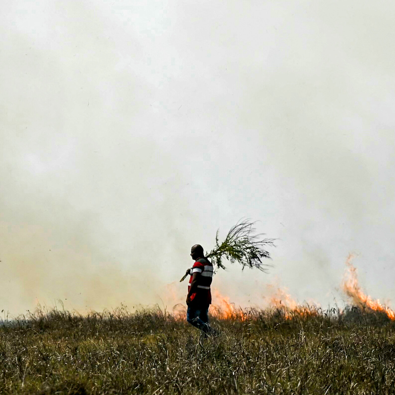 at-cop29-politicians-are-talking-about-climate-change-here’s-what’s-happening.