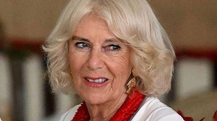 queen-camilla-terrified-of-ae˜embarrassing’-king-charles