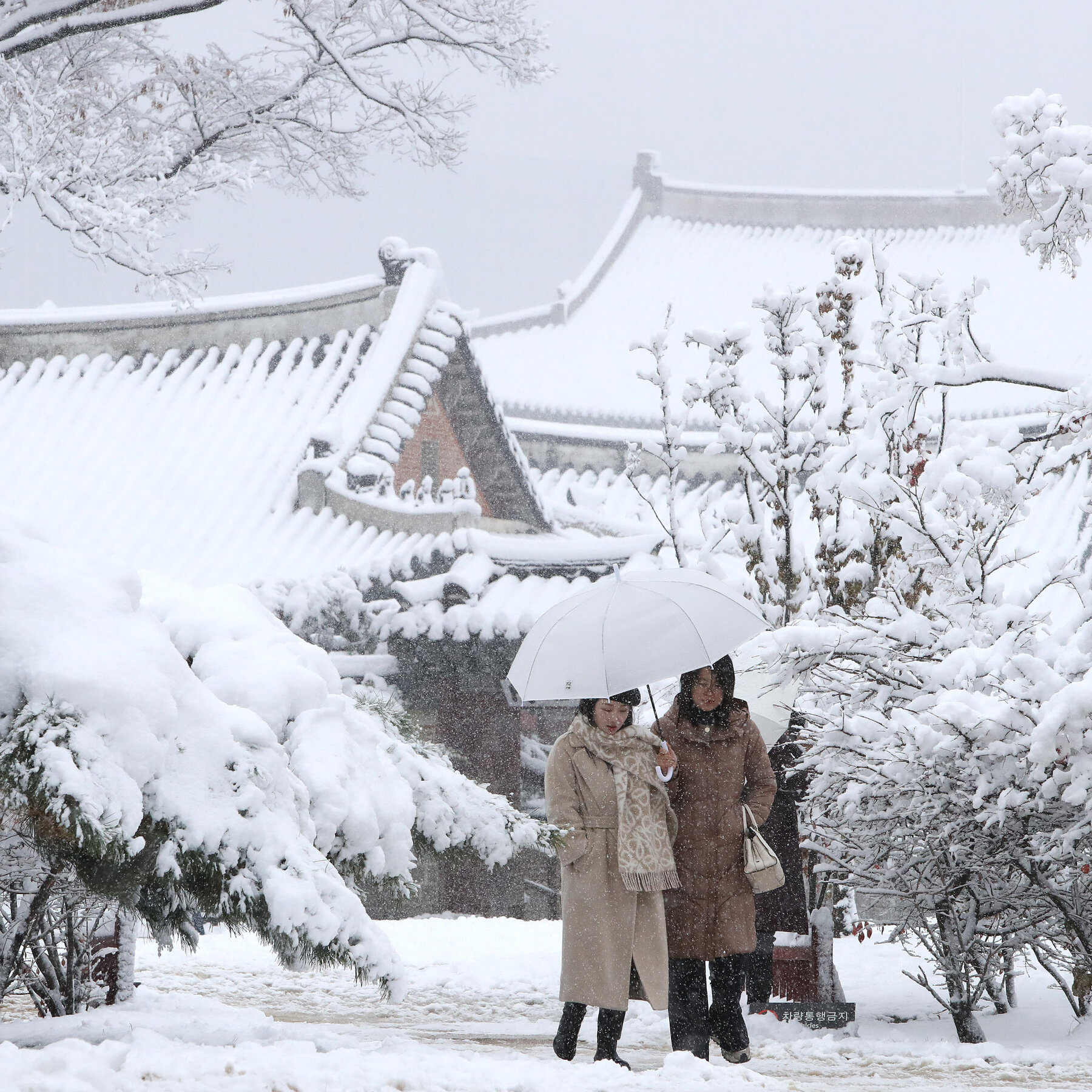 record-snowfall-hurls-seoul-into-winter