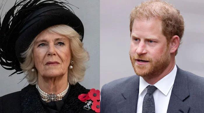 prince-harry’s-desperate-attempt-to-smear-queen-camilla-exposed