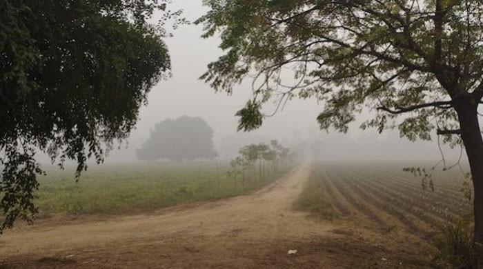 lahore’s-smog:-with-sun-out,-govt-lifts-restrictions