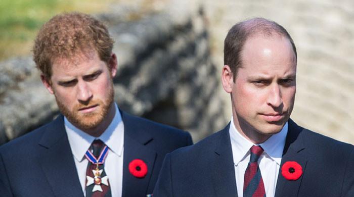 prince-harry-releases-meaningful-statement-after-william’s-olive-branch