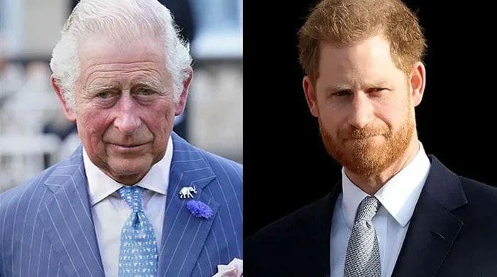 king-charles-to-face-ae˜legal’-trouble-if-he-bring-back-harry