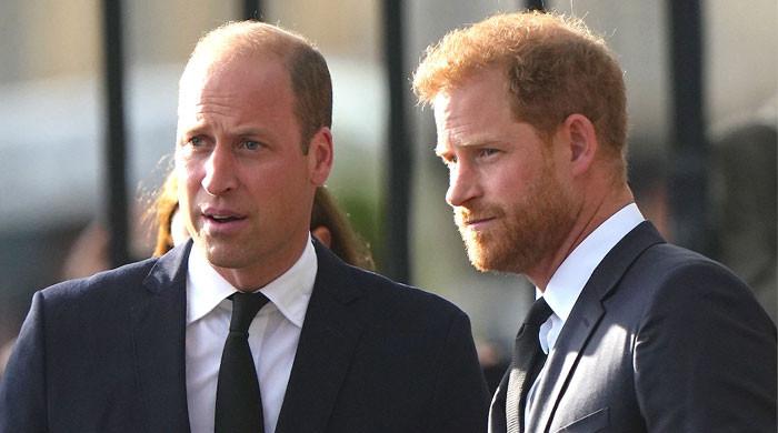 real-reason-why-prince-william-mentioned-prince-harry-in-new-documentary