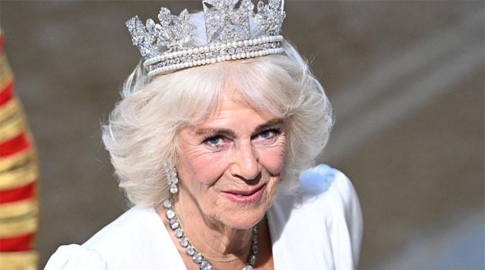buckingham-palace-shares-queen-camilla’s-emotional-video-amid-health-worries
