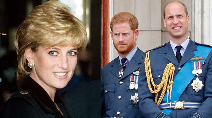 princess-diana-method-to-bring-william,-harry-together-laid-bare