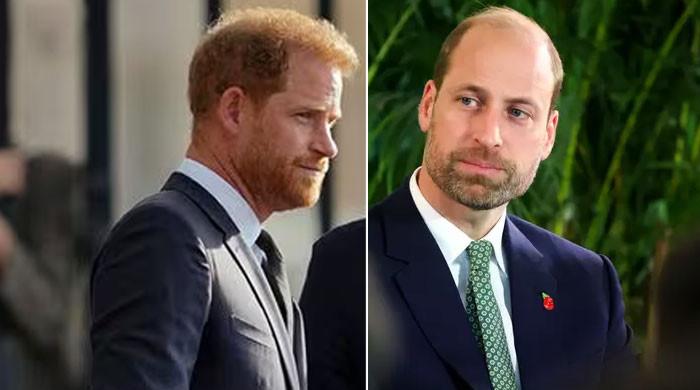 prince-harry-called-to-take-prince-william-down-a-peg:-ae˜he’s-turning-into-a-pinhead’