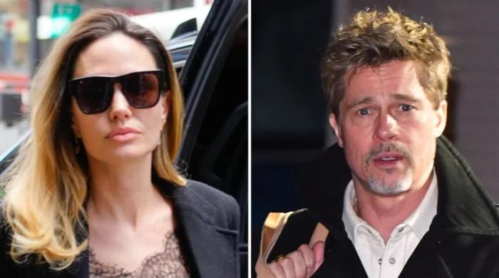 angelina-jolie,-kids-planning-to-leave-brad-pitt-behind:-source