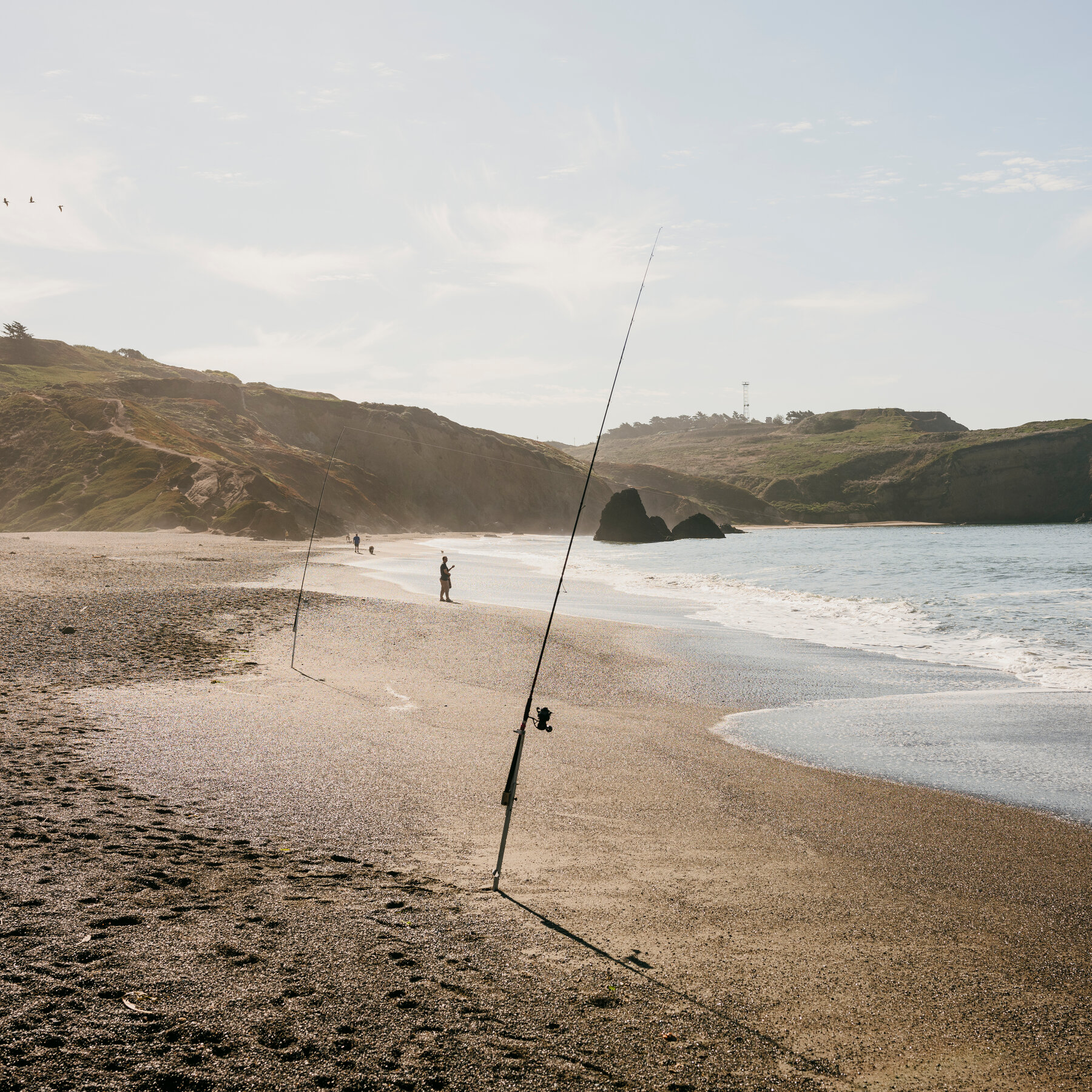 what-a-marine-heat-wave-reveals-about-our-warming-oceans