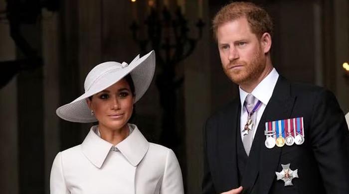 prince-harry,-meghan-markle’s-new-documentary-could-‘hurt-their-reputation’