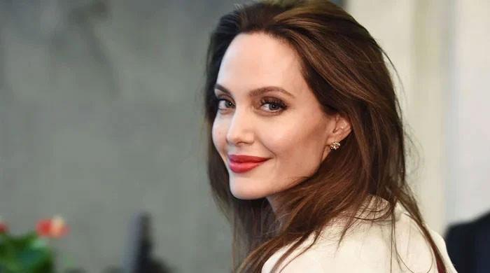 angelina-jolie-jokes-about-her-‘fall-back-career’