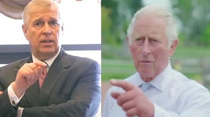 prince-andrew’s-spy-pal-threatening-the-firm:-ae˜everything’s-going-down’