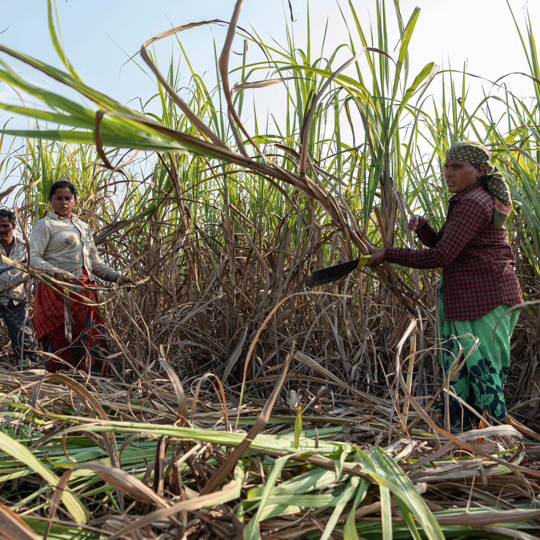 coke,-pepsi-and-other-us.-companies-face-wall-street-pressure-over-labor-abuses-in-india