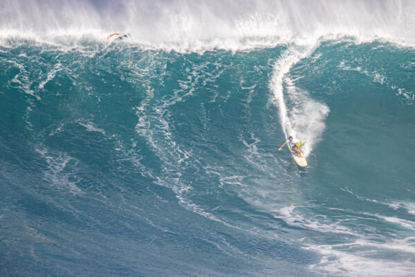 surfers-return-for-rare-big-wave-contest-in-hawaii