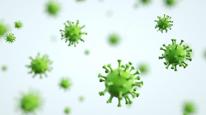 human-metapneumovirus-not-new-to-pakistan,-detected-here-since-2001:-nih