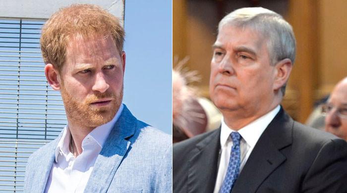 prince-harry-slapped-with-investigation-scare:-ae˜fbi-needs-to-check-him!’