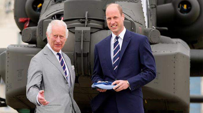 prince-william-releases-statement-as-king-charles-holds-crucial-meeting-at-buckingham-palace