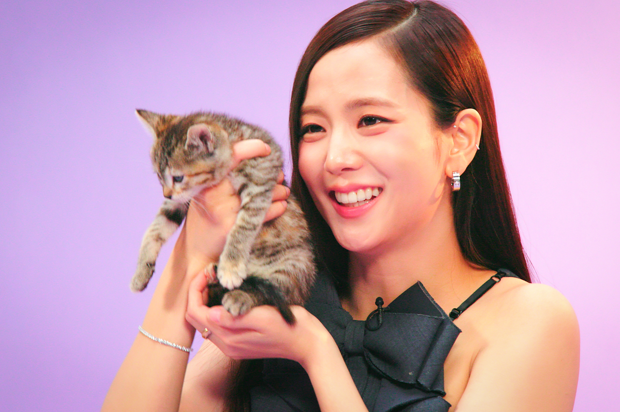 jisoo-finally-did-the-kitten-interview-and-it’s-even-more-adorable-than-we-imagined