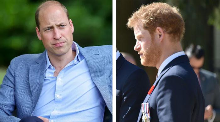 prince-william-ae˜not-big’-on-forgiveness-while-prince-harry-handed-advice