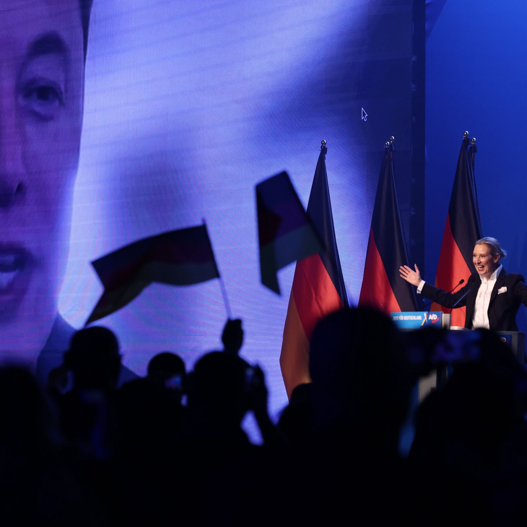 elon-musk-congratulates-afd-leader-on-germany’s-election-results