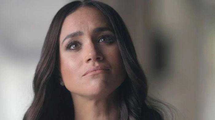 ae˜boneheaded’-meghan-markle-becoming-borderline-illiterate-with-money