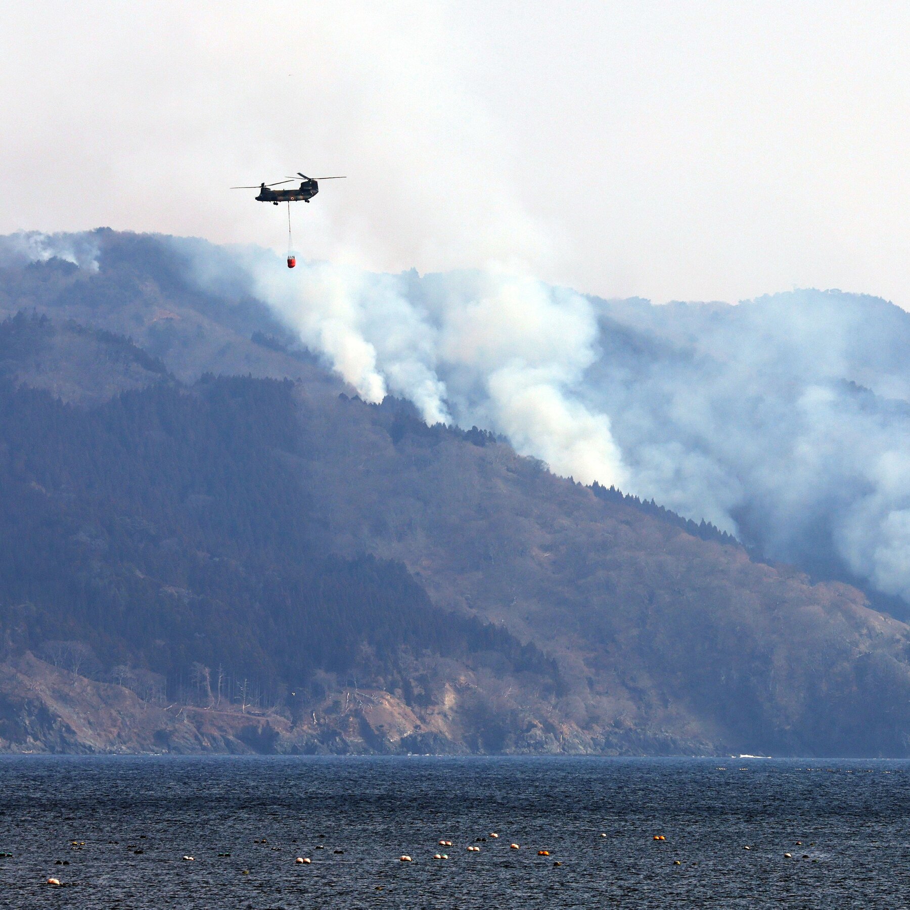 japan-fights-its-largest-wildfire-in-more-than-30-years