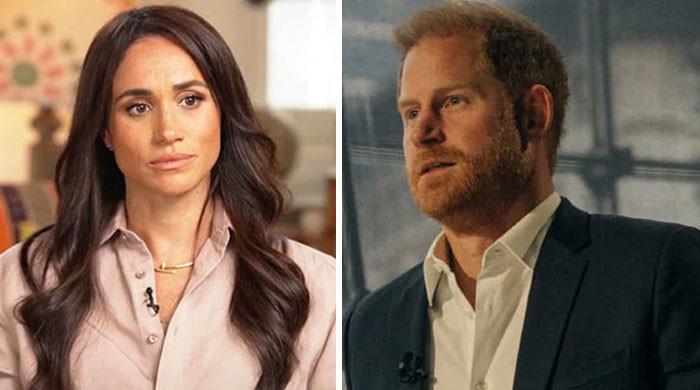 prince-harry,-meghan-markle-riding-coattails-of-times-past-without-earning-a-dime