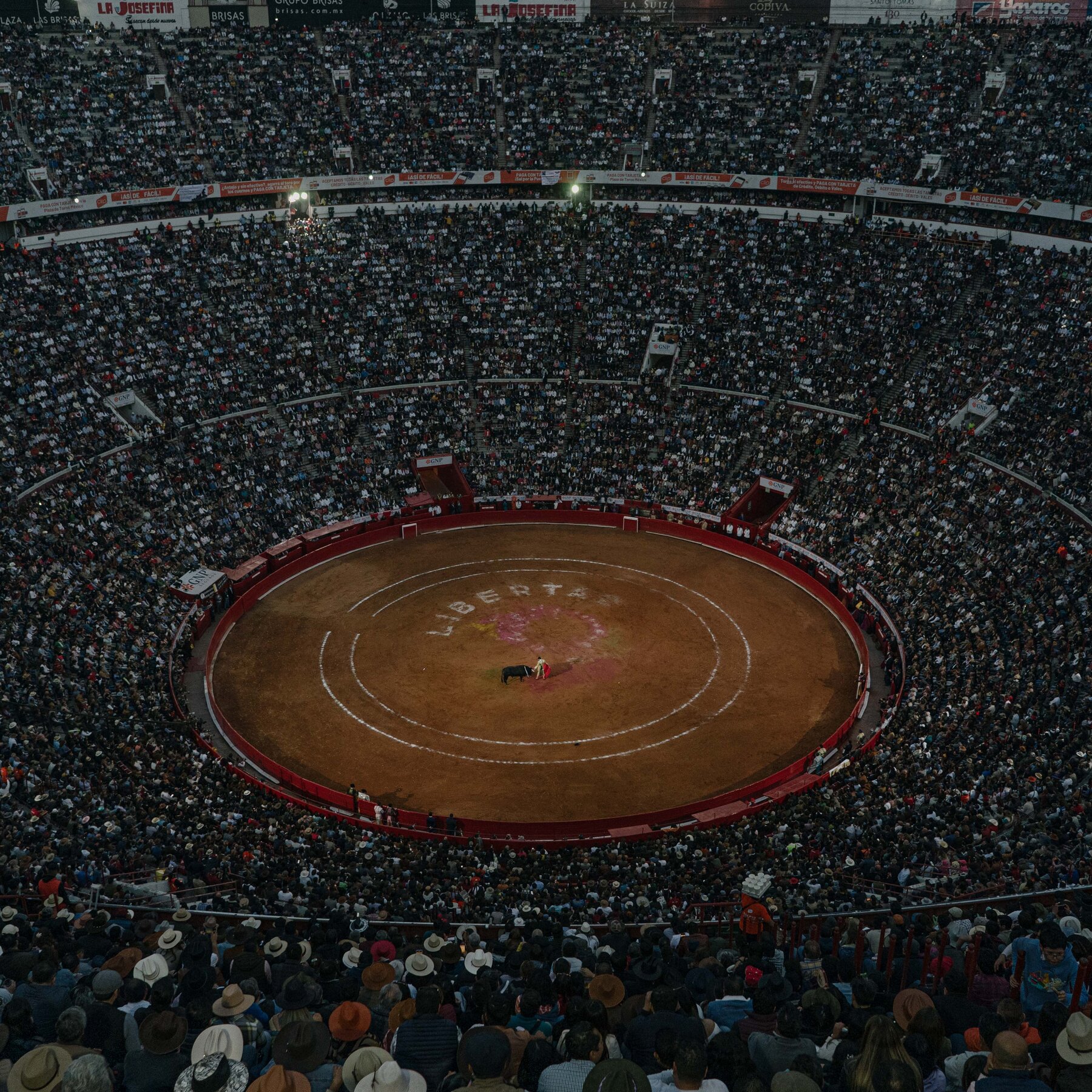 mexico-city-bans-traditional-bullfights-for-violence-free-option