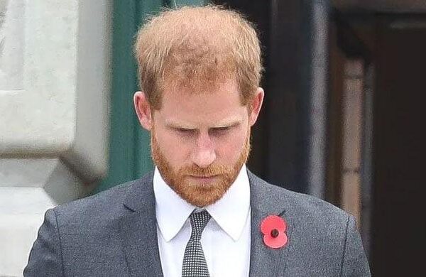 prince-harry-ae˜nervous’-as-world-can-seize-with-new-disaster