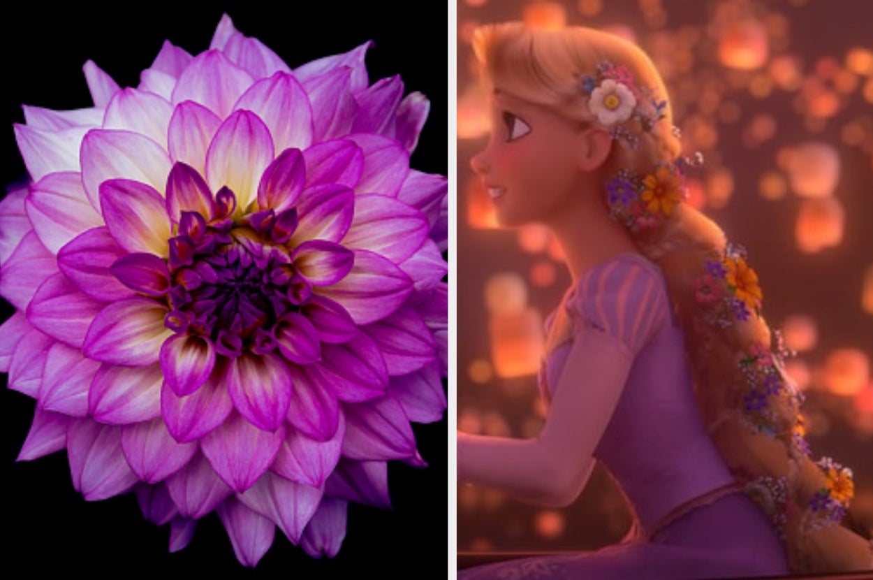 choose-some-flowers-and-i’ll-tell-you-which-disney-princess-you’re-the-most-like