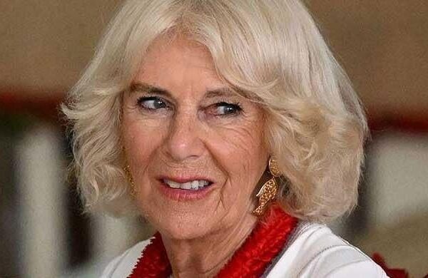 queen-camilla-had-ae˜incredibly-difficult’-journey-to-be-liked