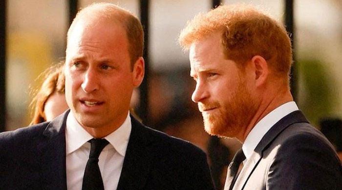 prince-william,-harry-ae˜sad-glower’-at-papa’s-wedding-laid-bare