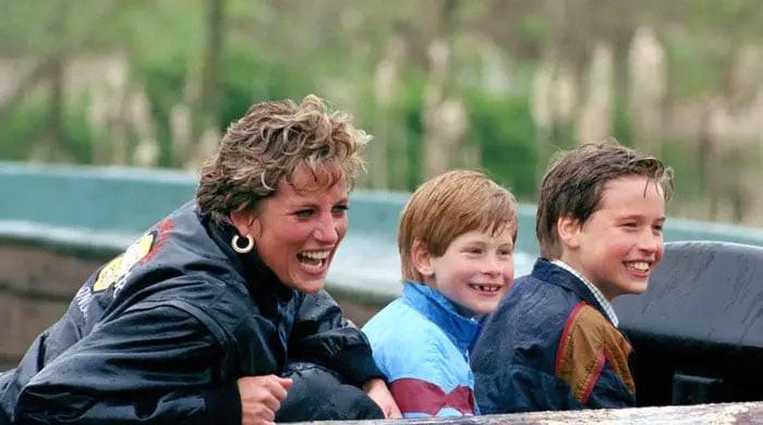 princess-diana-knew-prince-harry-was-bit-ae˜immature’-to-take-key-decision