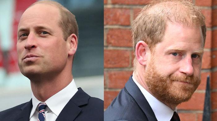 prince-william-is-in-a-long-game-with-prince-harry:-titles,-uk-future-and-family