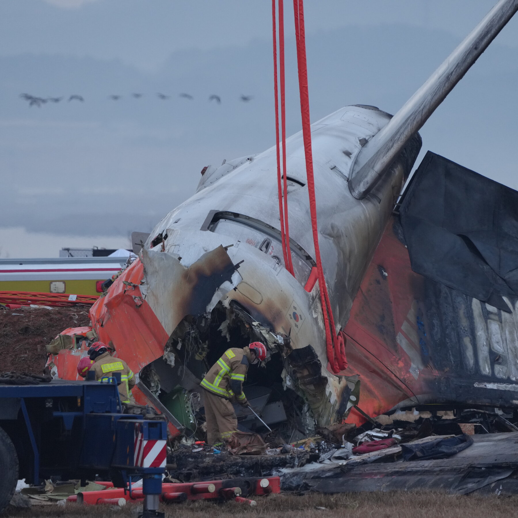 airport-was-given-bird-strike-warning-days-before-south-korea’s-deadly-crash
