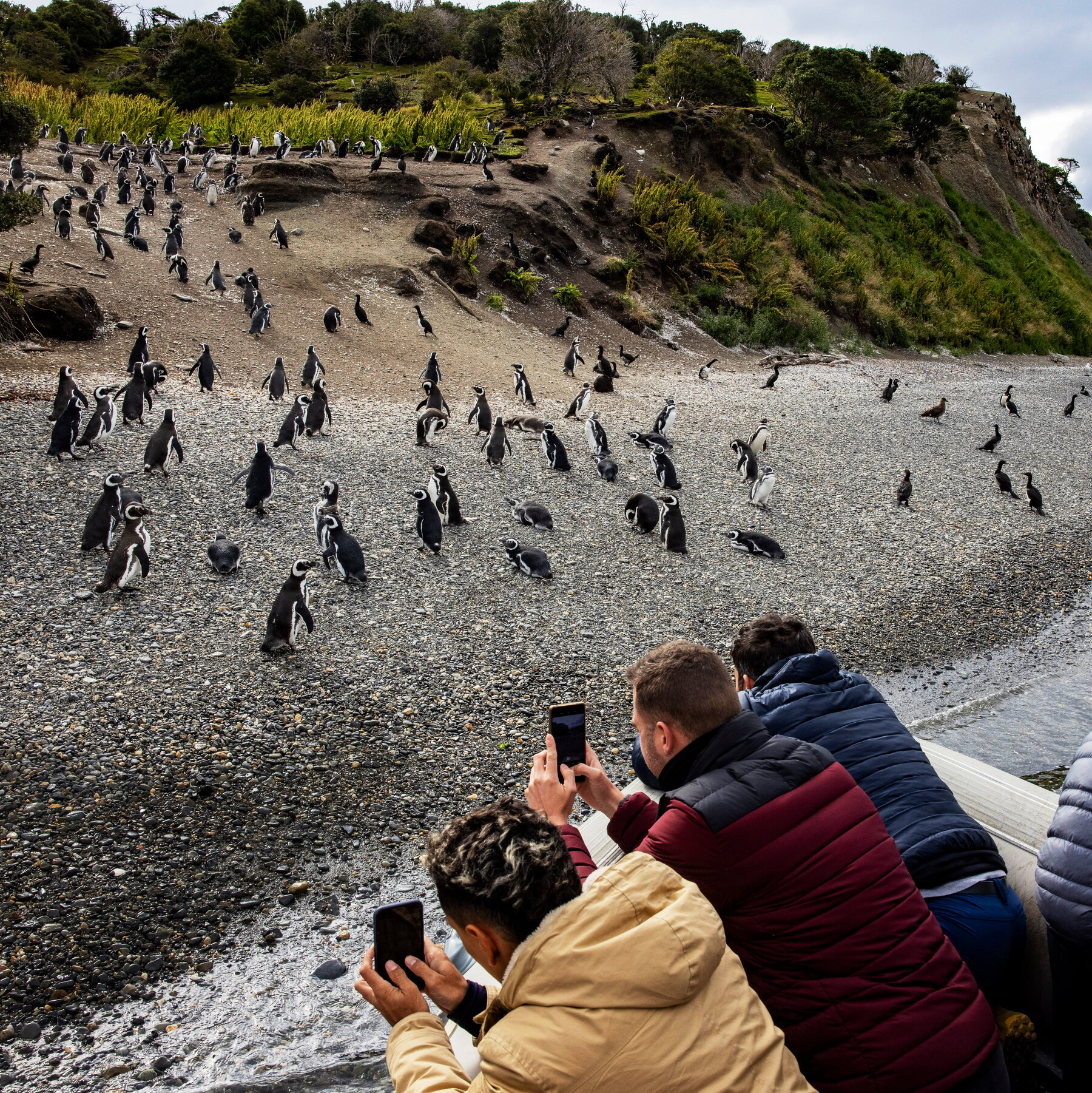 in-argentina,-a-boom-in-antarctic-cruises-is-straining-the-‘end-of-the-world’