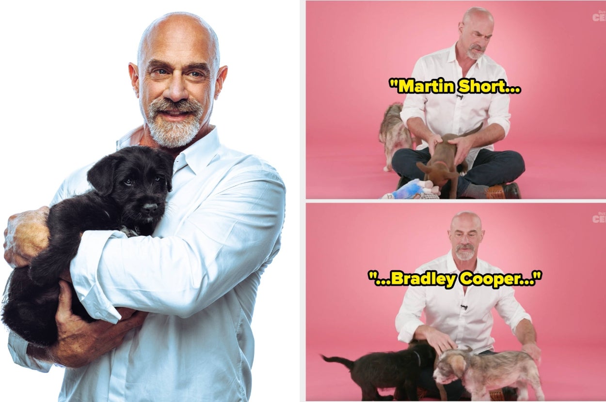 christopher-meloni-just-revealed-his-absolute-favorite-“law-&-order”-episode-while-playing-with-puppies